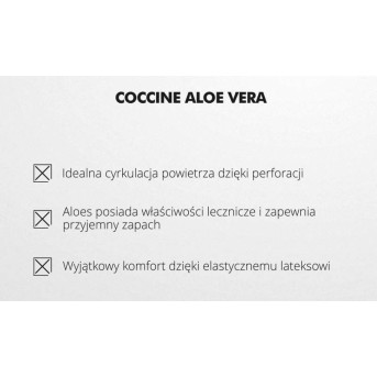 WKŁADKA DO BUTÓW ALOESOWA ZAPACHOWA PRZECIWPOTNA COCCINE 36-46 100035
