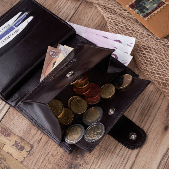 SKÓRZANY MĘSKI PAKOWNY BRĄZOWY PORTFEL PAOLO PERUZZI T-14-BR