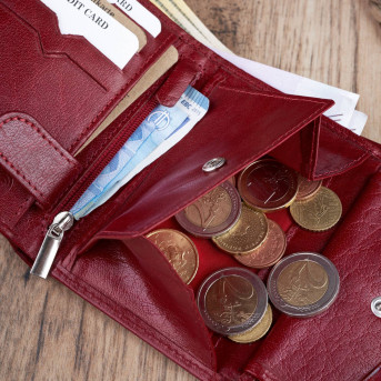 MODNY DAMSKI SKÓRZANY PORTFEL PAOLO PERUZZI RFID T-12-RD