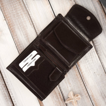 MODNY DAMSKI SKÓRZANY PORTFEL PAOLO PERUZZI RFID T-12-BR