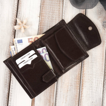 MODNY DAMSKI SKÓRZANY PORTFEL PAOLO PERUZZI RFID T-12-BR