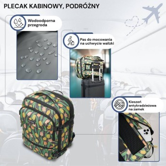 Plecak podróżny do samolotu wielofunkcyjny Paolo Peruzzi AS-01-TL
