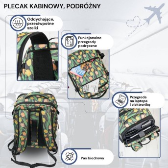 Plecak podróżny do samolotu wielofunkcyjny Paolo Peruzzi AS-01-TL